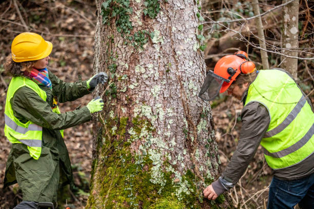 Best Emergency Tree Removal  in Chadds Ford, PA